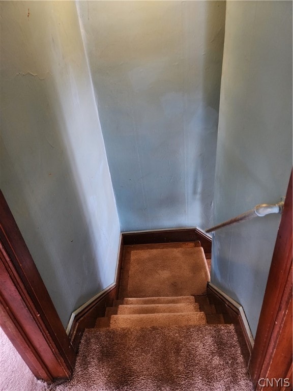 stairs with carpet floors