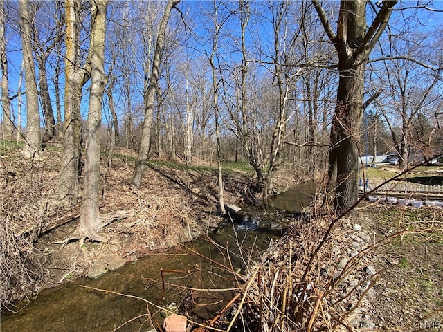 view of local wilderness with a water view