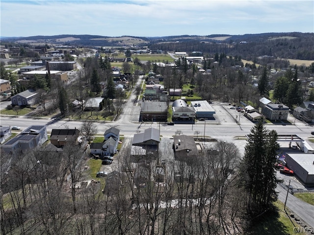 view of bird's eye view