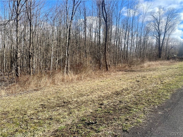 254LOT1 Kent Rd, Hannibal NY, 13156 land for sale