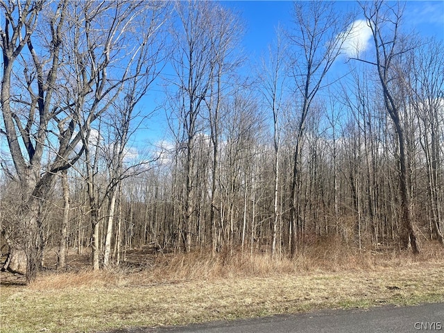 Listing photo 2 for 254LOT1 Kent Rd, Hannibal NY 13156