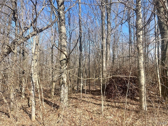 Listing photo 3 for 254LOT1 Kent Rd, Hannibal NY 13156