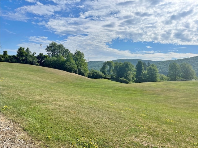 view of mountain feature