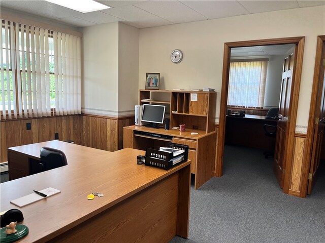 office with light carpet and a drop ceiling