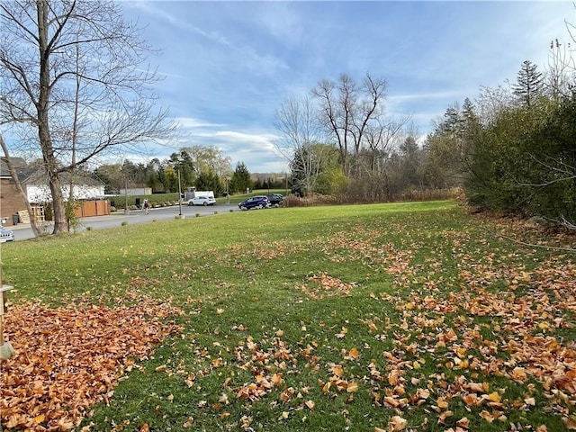 2125 Transit Rd, Elma, NY 14059 - view of yard