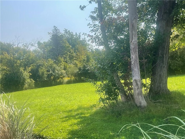 2125 Transit Rd, Elma, NY 14059 - view of green lawn
