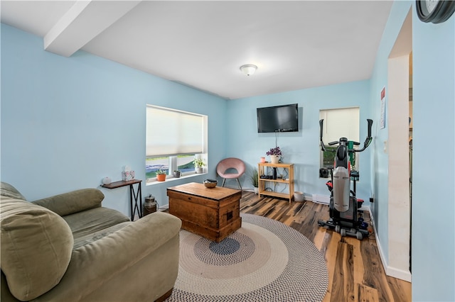 living room featuring dark hardwood / wood-style flooring and beamed ceiling