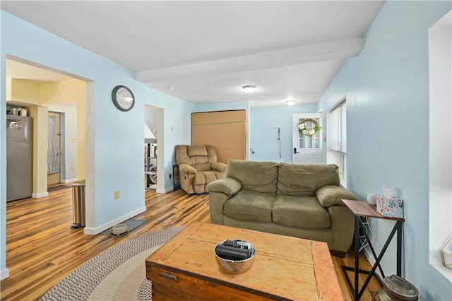 living room featuring light hardwood / wood-style flooring