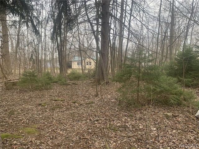 9411 Peach St, Evans NY, 14006 land for sale