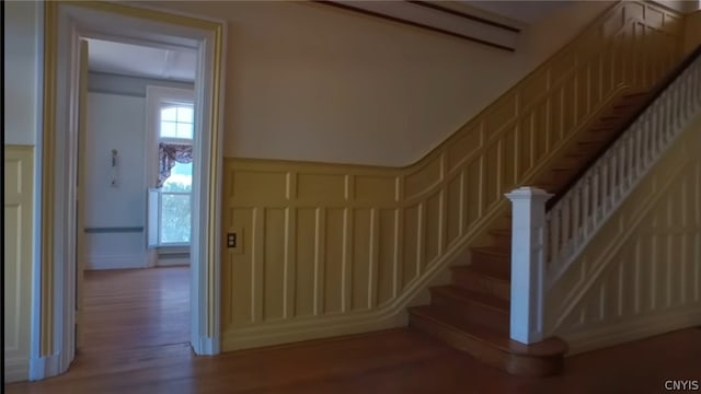 stairway with light hardwood / wood-style flooring