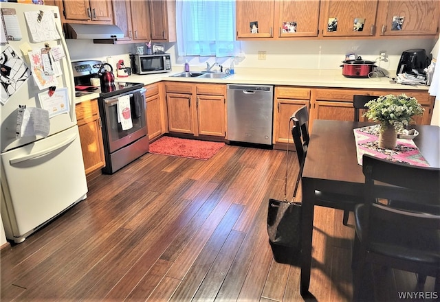 kitchen with sink, dark hardwood / wood-style flooring, and stainless steel appliances