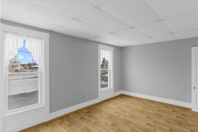 spare room with a healthy amount of sunlight, light wood-type flooring, and a drop ceiling