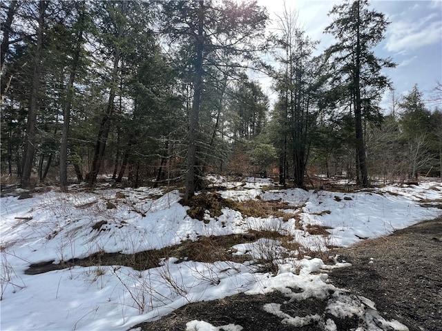 Listing photo 2 for LOT3 Burdick Hill Rd, Otego NY 13825