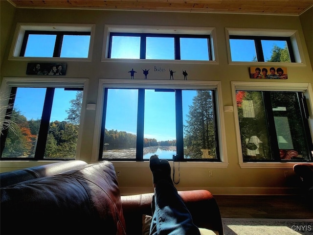 doorway featuring hardwood / wood-style flooring, plenty of natural light, and a water view