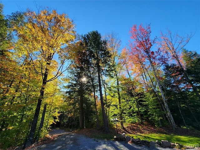 view of nature