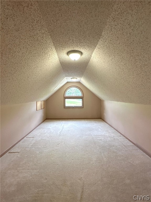 additional living space featuring a textured ceiling, lofted ceiling, and carpet flooring