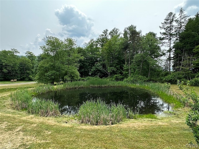 property view of water