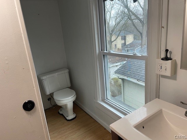 bathroom with vanity, hardwood / wood-style flooring, and toilet