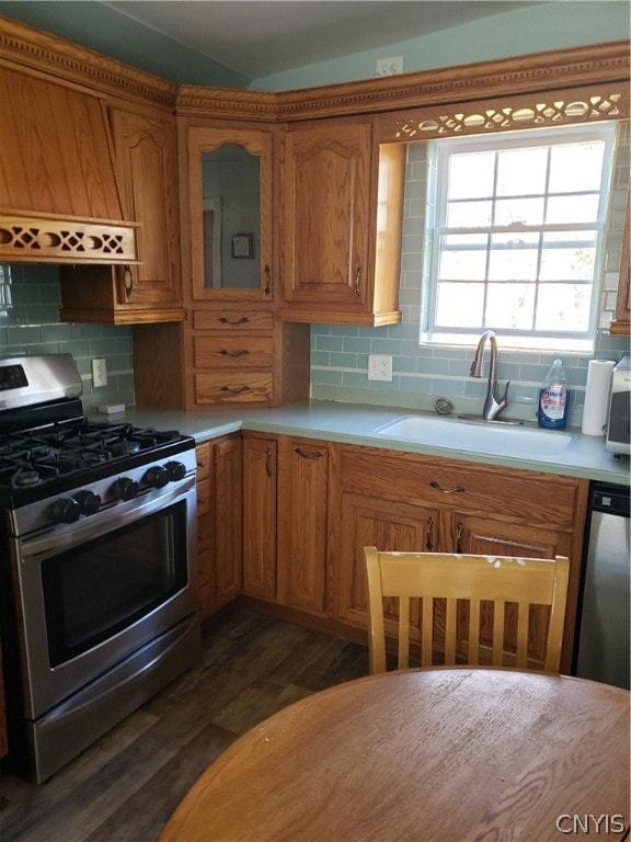 kitchen featuring tasteful backsplash, stainless steel appliances, custom exhaust hood, sink, and dark hardwood / wood-style floors