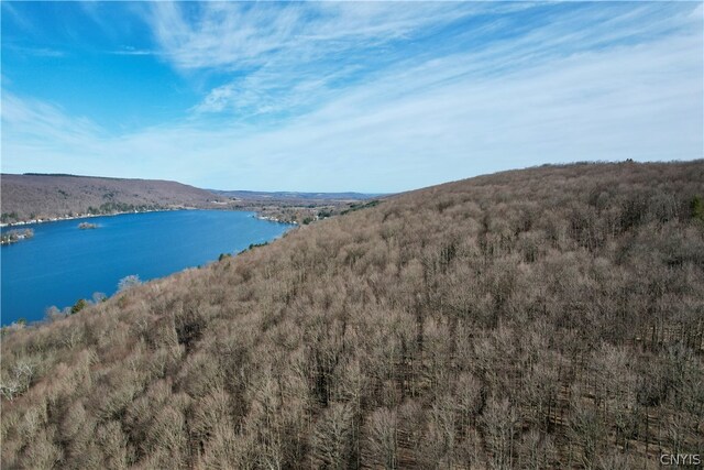 00 E Lake Rd, Deruyter, NY 13052