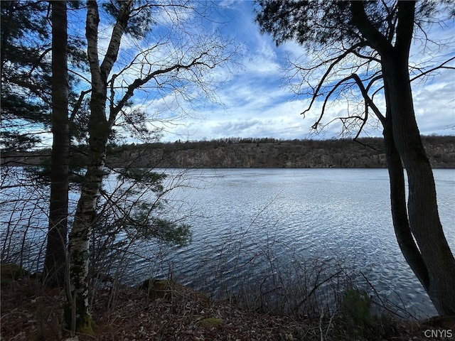 view of water feature