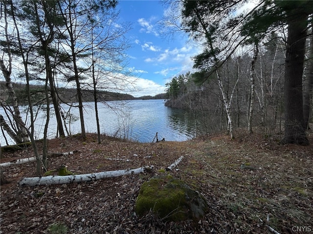 view of property view of water