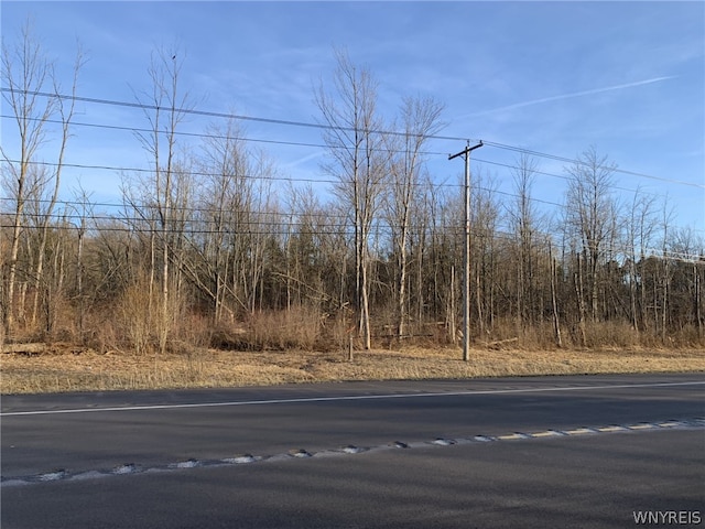 8393 Southwestern Blvd, Evans NY, 14006 land for sale