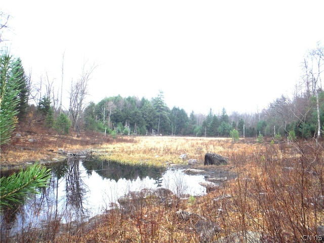 000 Buck Lake Rd, Forestport NY, 13338 land for sale