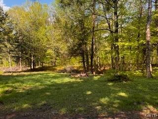 64 Beaver Creek Rd, Redfield, NY 13437 - photo 11