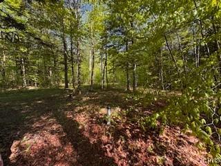 64 Beaver Creek Rd, Redfield, NY 13437 - photo 12