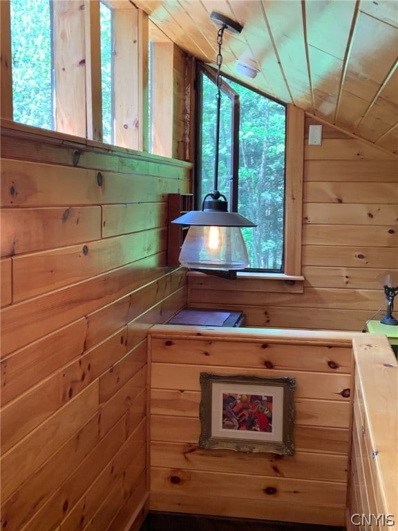 interior space with a healthy amount of sunlight, wood walls, and lofted ceiling