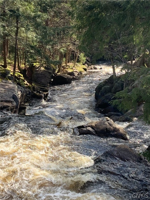 view of local wilderness with a water view