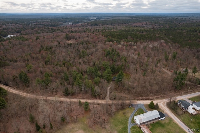 view of bird's eye view