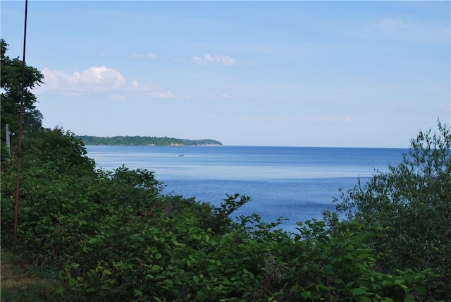 view of water feature