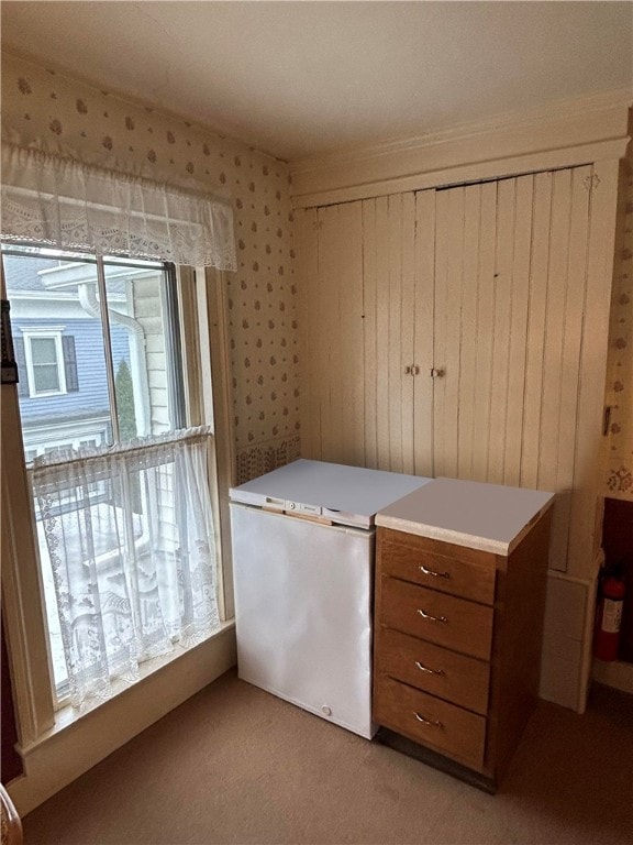 interior space with light carpet and refrigerator