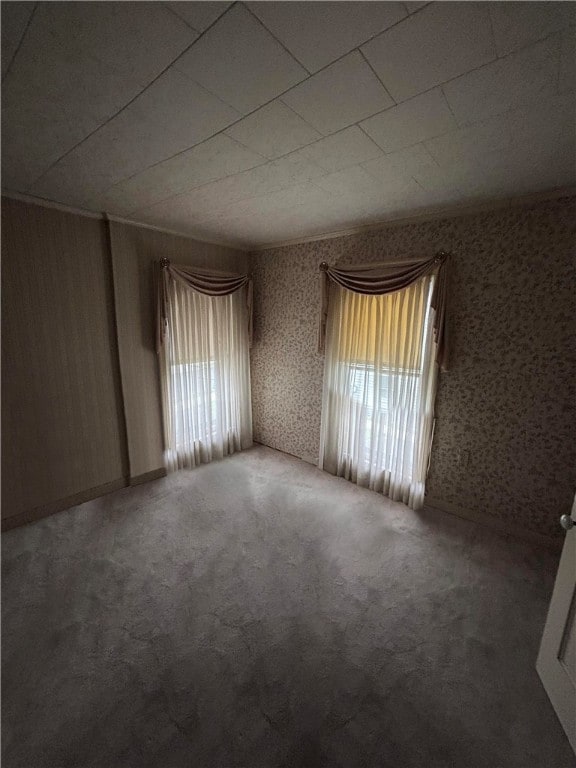 spare room featuring carpet flooring and a wealth of natural light