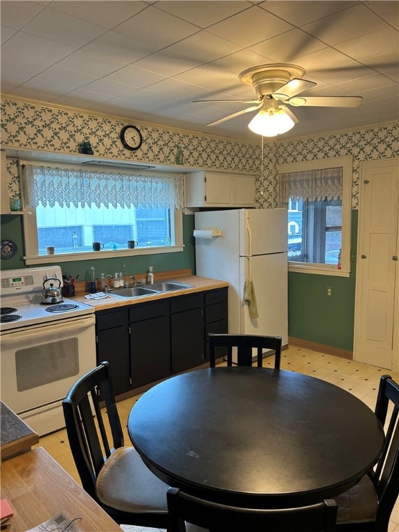 kitchen with ceiling fan, white appliances, and sink