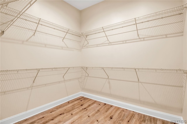 walk in closet with wood-type flooring