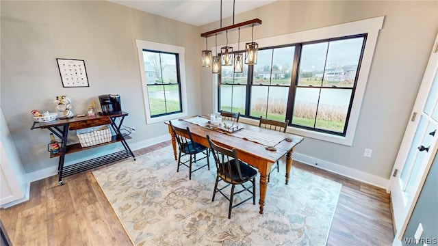 dining room with wood-type flooring and a healthy amount of sunlight