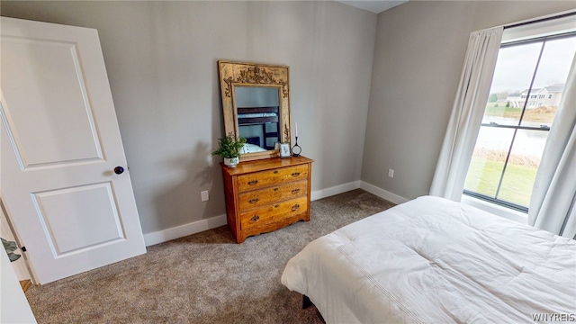 bedroom with carpet