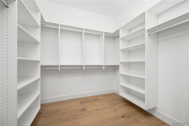 spacious closet featuring light hardwood / wood-style flooring