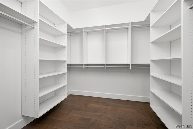 spacious closet featuring hardwood / wood-style floors