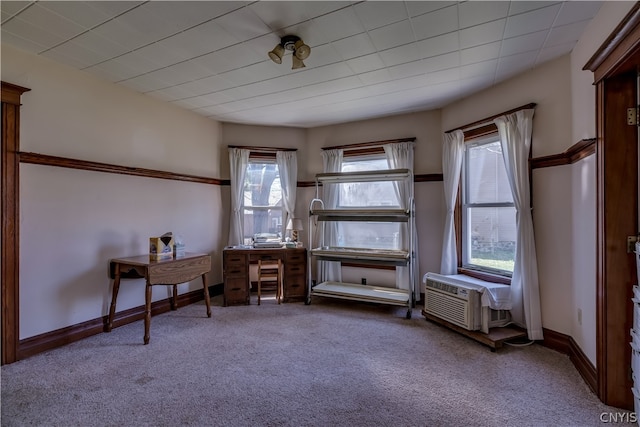 living area with carpet floors