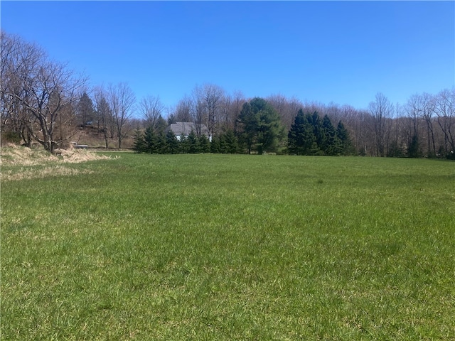 0 Dunk Hill Rd, Walton NY, 13856 land for sale