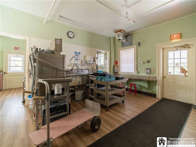 miscellaneous room featuring hardwood / wood-style flooring and a wealth of natural light