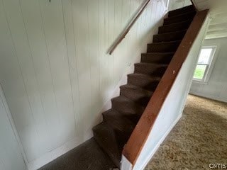 staircase with carpet floors