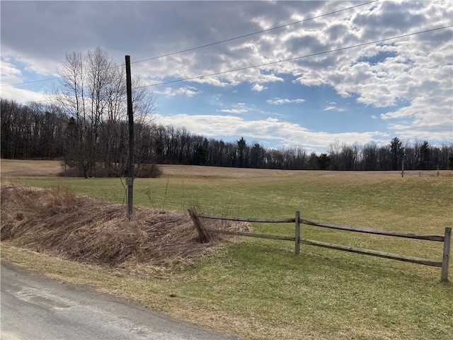 view of yard with a rural view