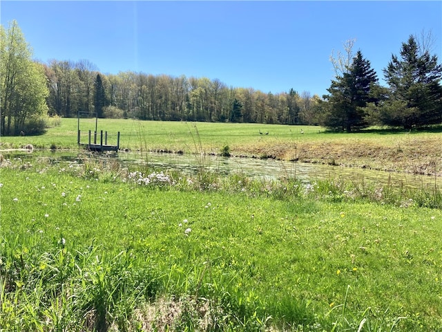 view of landscape with a rural view