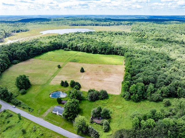 drone / aerial view with a water view and a rural view