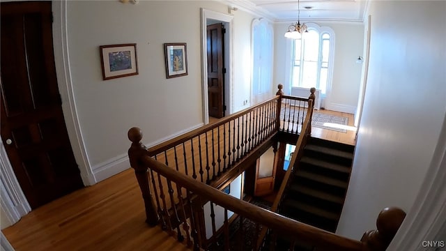 staircase with ornamental molding, a chandelier, and hardwood / wood-style flooring